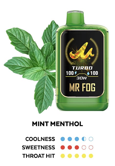 Mr Fog Nova 36K Mint 20mg/mL disposable( Provincial)